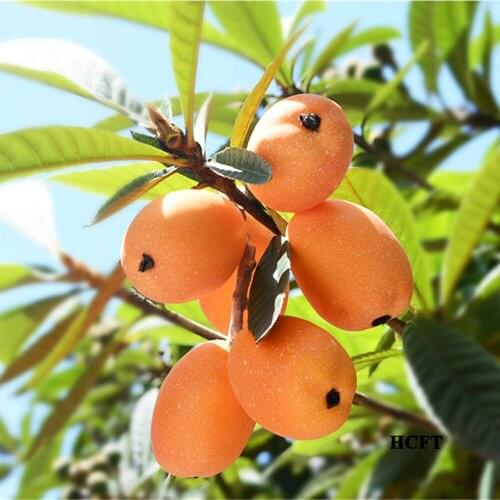 Festive props Kitchen home hotel cafe bar restaurant Shop Store decoration faux Artificial Simulation loquat fake Fruit model