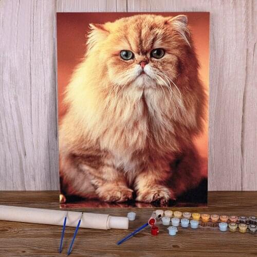 Animal Cat Painting By Numbers Complete Kit Oil Paints 40*50 Painting On Canvas New Design Adults Wholesale Drawing