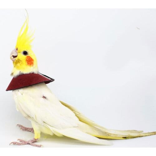 Birds Cat Dog Collar Anti Bite Medical Protector Pet Anti-bite Birds Parrot Collar Anti-scratch Cloak Cover Collar Protective