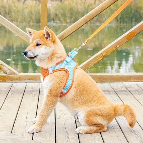 Pet Cat and Dog Traction Rope Summer Vest-style Reflective and Breathable Cat and Dog Traction Rope Pet dog Supplies