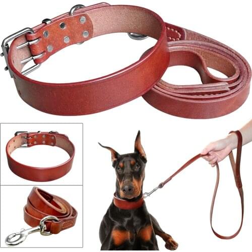 Luxury Soft Genuine Leather Pet Dog Collar and Leash Set For Small Medium Large Dogs Adjustable Brown Color
