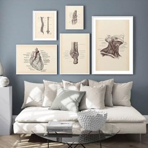 Vintage Human Anatomy Poster Artwork Medical Wall Picture Muscle Skeleton Canvas Print Painting For Hospital Clinic Decor