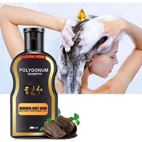200ml Shampoo Hair Care Ginger Bar Ginger Hair Growth Polygonum Loss Hair Cinnamon Shampoo Multiflorum Treatment O5G6