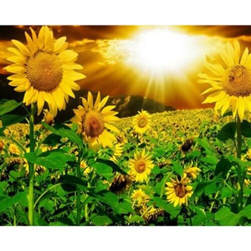 Diamond Embroidery 5D Diamond Painting scenery Full Square Sunflower Picture Of Rhinestones Cross Stitch Mosaic Home Decor