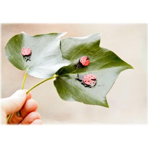 Mmao Crafts Metal Steel Cutting Dies New Insect decoration Stencil For DIY Scrapbooking Paper/photo Cards Embossing Dies