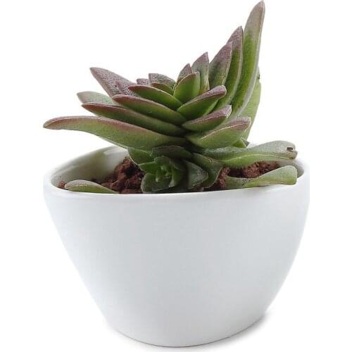 Ceramic White Misalignment Traiangle Design Succulent Cactus Plant Pot Flower Pot/container/planter
