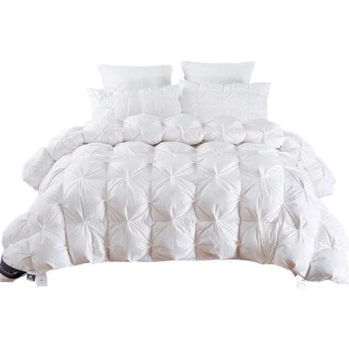 White/Blue/Pink/Brown Goose Down Duvet Blanket King Queen Twin Size Luxury Winter Blanket Comforter Filler for Beds