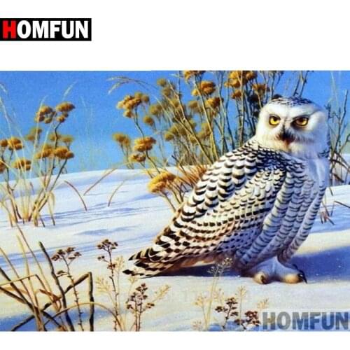 HOMFUN Full Square/Round Drill 5D DIY Diamond Painting "Animal owl" Embroidery Cross Stitch 5D Home Decor Gift A16354