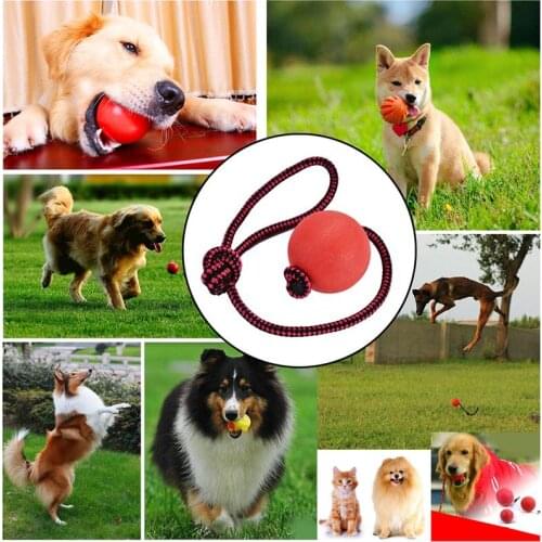 Dog Ball Elastic Bite Resistant Interactive Chewing Ball Dog Training Ball Dog Toy Ball with Rope