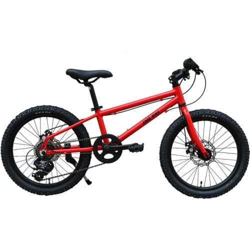 20 Inch Foldable Children Mountain Bike Variable 6 Speed Bicycle Aluminum Alloy 6-12 Years Kids Boys Girls Cycling Accessories