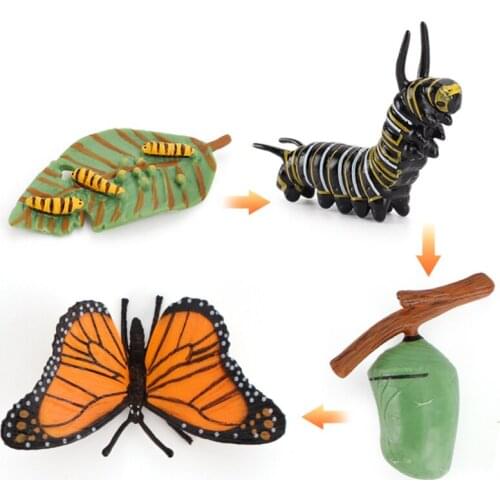 New PVC Simulation Insect Plant Growth Seed Solid Soybean Toy Figures Mini Figures Toys Science Education For Baby Early Toys