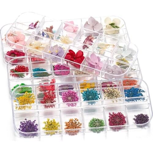 1 Box Daffodil Daisy Real Dried Flower Plants Filling Epoxy Resin Molds Pendant Necklace for DIY Jewelry Making Accessories