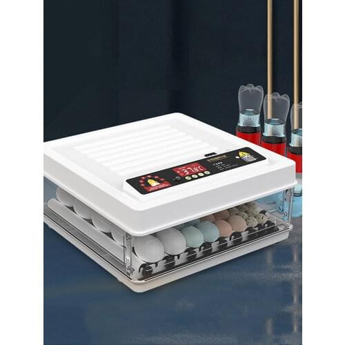 Товары для сельхоз животных XMSJ China At AliExpress