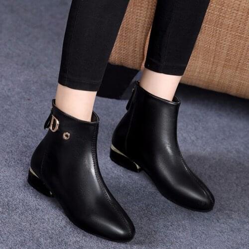 2021 Fashion Casual Autumn and Winter New Zipper Retro Thick Heel Warm Thick Heel Pointed Ankle Boots Oversized Riding Boots