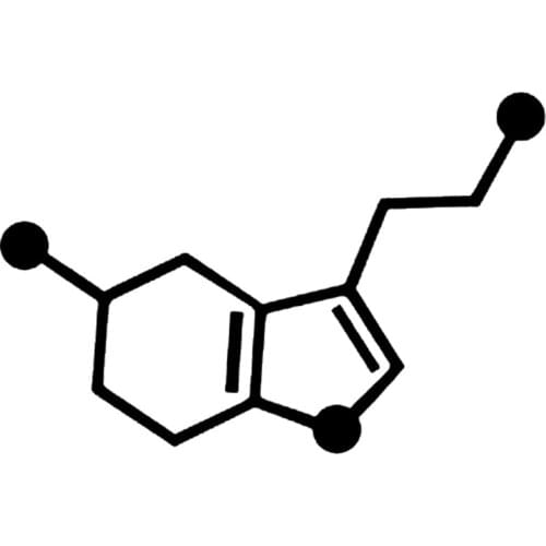 16*10.6cm Cool Graphics Central Nervous System -Chemical Compound Skeletal Car Window Stickers Car Decor Vinyl Sticker