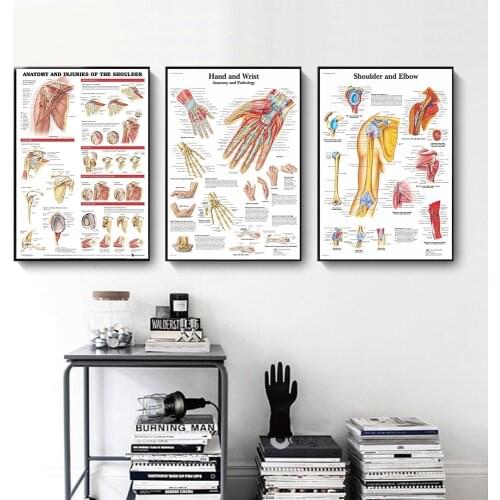Anatomy and Injuries of The Shoulder Hand Wrist and Elbow Diagram Propaganda Poster Canvas Painting Wall Art Pictures Decoration