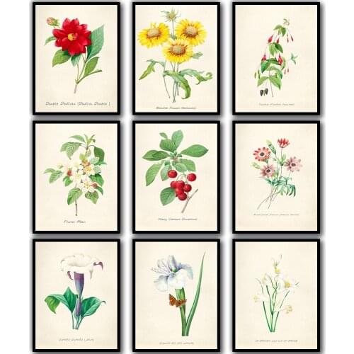 Modern Room Print Set of 9 Wildflower Botanical Wall Painting Vintage Flower Kitchen Trends Farmhouse Art No Frame Pictures