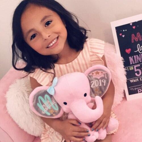 Personalized Elephant Plush, Girls Graduation Gift, Girls Keepsake Gift, Grad Gift, Kindergarten Graduation, Preschool gifts