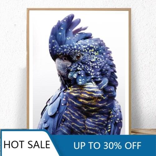 Australian Bird Print Black Cockatoo Wall Art Canvas Painting Posters Navy Blue Parrot Bird Prints Wall Pictures Living Room Dec