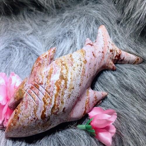 Ocean jasper shark 1988