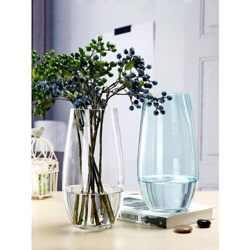 Modern Creative colorful glass vase transparent bottle hydroponic containers flowerpot wedding Home Decoration plant vase