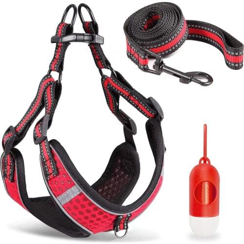 Step-in Dog Harness,Small Dog Harness and Leash Set,Adjustable 3M Reflective Pet Dog Vest for Puppy,Soft Air Mesh Step-in Harnes