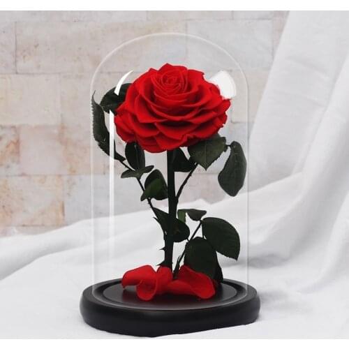 Superior quality Beauty And The Beast Rose Eternal Flowers In Glass Dome Christmas decorate Valentines Day birthday present