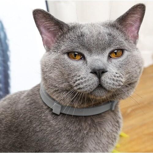 Dog Flea & Tick Collar Insect Controler for Pet Puppy Cat Flea Killer Collar Pet Accessories