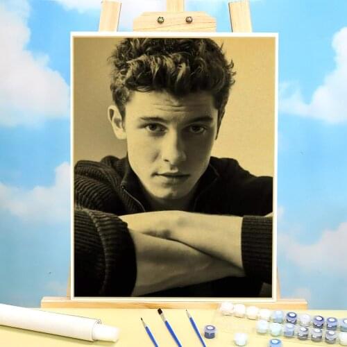 Shawn Mendes DIY Paint By Numbers Kit Oil Paints 40*50 Picture By Numbers Photo Decoration Crafts For Adults Wholesale