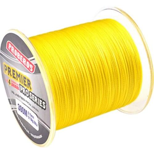 300M PE Fishing Line Monofilament Braided Fishing Line Ocean Super Strong Carp Colorful Braided Fishing Rope Cord