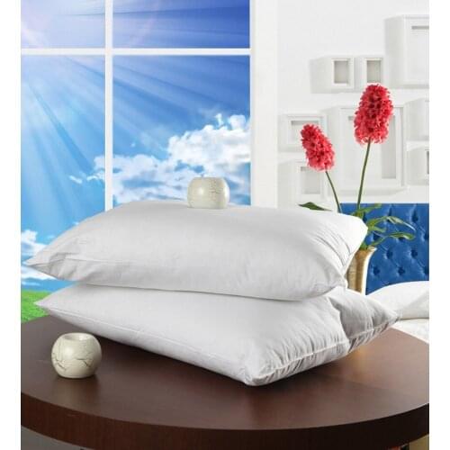 Orthopedic Slikon Pillow 700 g