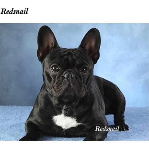 Diy photo custom diamond painting French Bulldog 3d full diamond embroidery beads cross stitch mosaic drill rhinestones EE286