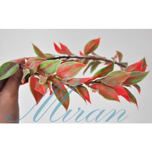 2020Hot New Foliage Olive Handmade Shabby Chic Bridal Shower Primitive Rustic Wreath Flower Crown Base Basement