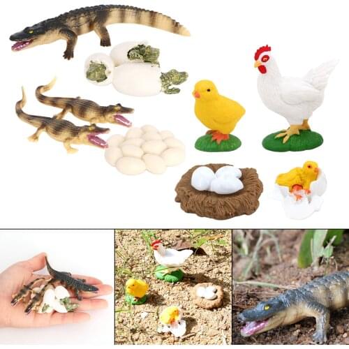 2 Set Insects Growth Life Cycle Figures Education Toy Role Play Themed Party