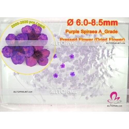 Purple Spiraea Nail Art Dry Flowers 2020x Bridal Wreat Real Nature Dried Pressed Flower for Pressed Flower Art - Free shipping