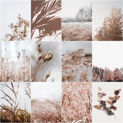 GATYZTORY 40x50cm Oil Painting By Numbers Reed Flower Pictures Acrylic Hand Painted Canvas For Living Room Wall Art