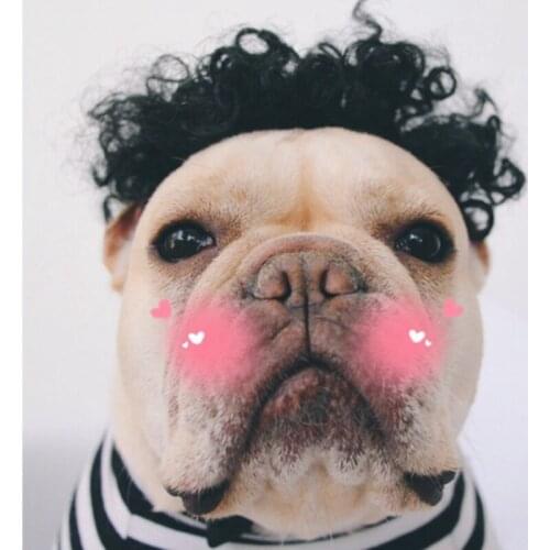 Funny Cute Pet Cat Costume Colorful Wig Cap Hat For Cat Dog Halloween Christmas Clothes Fancy Dress With Ears Pet Clothes