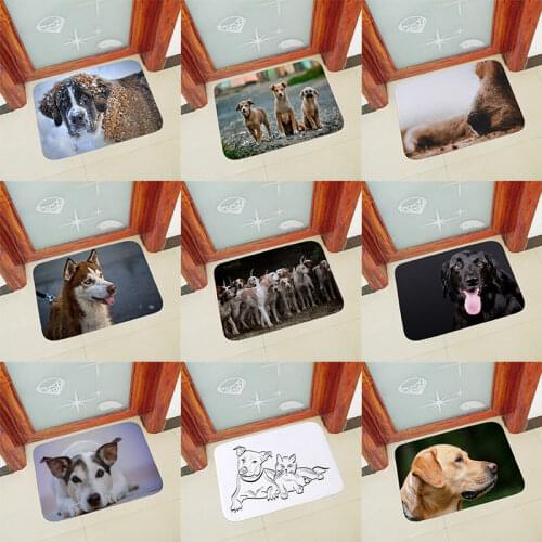 Funny Dog printed hallway Anti slip doormat for entrance door mats outdoor indoor front door mat Thicken flannel 40x60cm 50x80cm