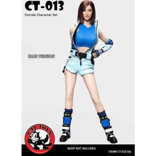 CAT TOYS 1/6 Female Fighting Set With Head Carving Fit 12'' Body CT013 Blue Gift In Stock