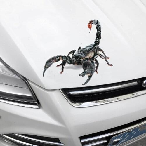 3D Spider Lizard Scorpion Car Sticker 3D animal pattern Vehicle Window Mirror Bumper Decal Decor Water-resistant High stickiness