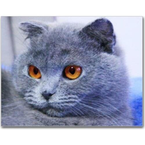 Full Drill Square Diamond Mosaic Gray Cat Pictures Of Rhinestones 5D Diamond Painting Cute Pet Cross Stitch Diamond Embroidery