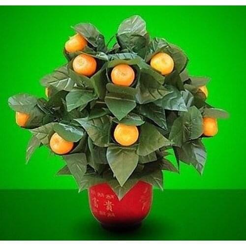 Blooming Oranges - Remote Control (20 Oranges,Battery Version) Magic Tricks Stage Party Wedding Prop Comedy Appear Vanish Magia