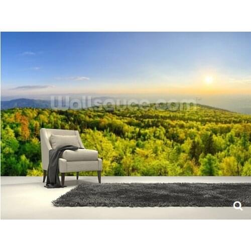 Custom natural landscape wallpaper,forest on Sleza mountain, Poland,3D photo mural for living room restaurant bedroom wall