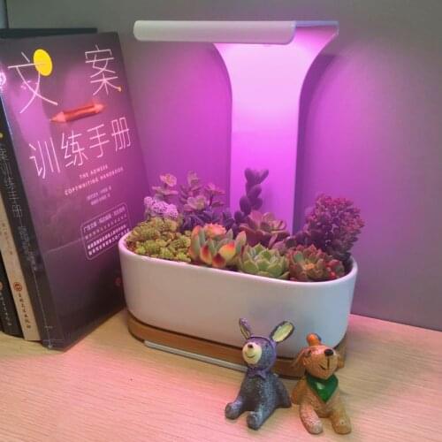 Indoor USB LED Grow Light Desk Grow Lamp Timer Phyto Lamp Full Spectrum Plant Lights For Succulent Flowers Cactus IR VU Light