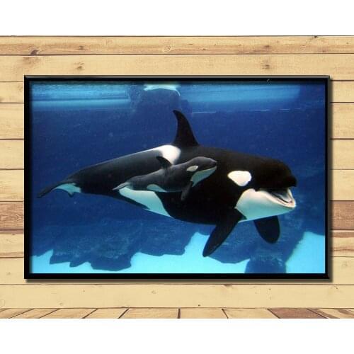Orca Ferocious Marine Animal (14) Wall Posters Prints Silk Art Painting For Home Wall Bedroom Decor