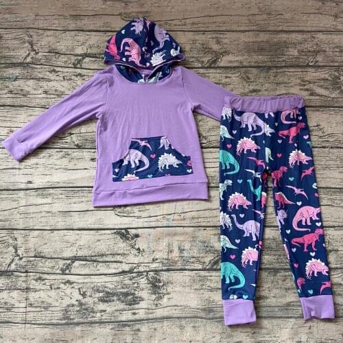 Wholesale/retail Hoodie 2 Pieces outfits Purple Dinosaur Print Cute Cartoon kids boutique clothing suit