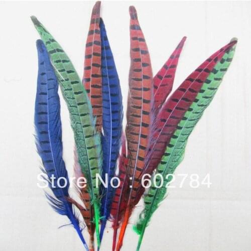 Free shipping 300PCS 10-12 inches 25-30cm mix color ringneck pheasant feather dyed feather