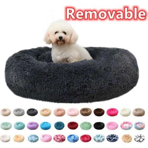 Первый питомец HASNOEND China At AliExpress