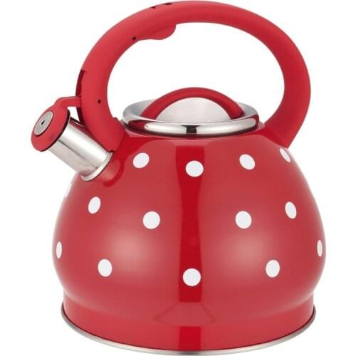 3.5L Whistling Kettle Stainless Steel Whistling Kettle Spray Paint Flat Bottomed Kettle with One Key Open Cover