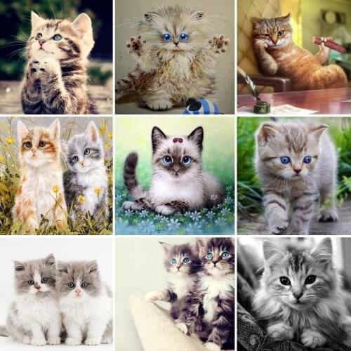 45/55/65 Full Square Diamond Painting cat 5D DIY Animal Embroidery Cross Stitch Kit Handmade Gift Wall Stickers Home Decoration